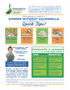 Summer without salmonella brochure