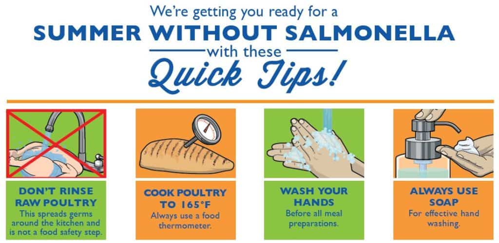 Summer with salmonella infographic