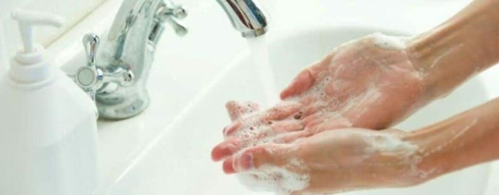 Closeup of hands washed under a sink with soap