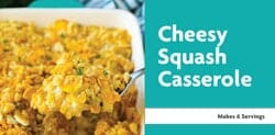 Cheesy Squash Casserole Recipe