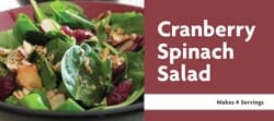 Cranberry Spinach Salad Recipe