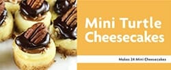 Mini Turtle Cheesecakes