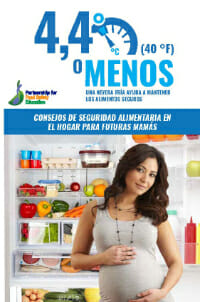 Go 40 or Below - Expecting Mothers - Spanish Brochure