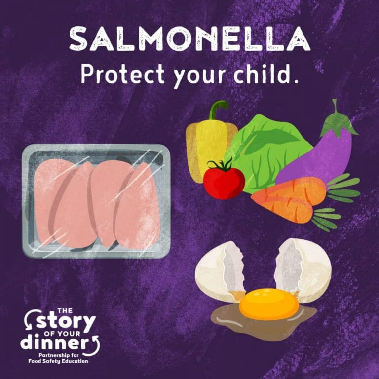 Story of Your Dinner Salmonella social media graphic