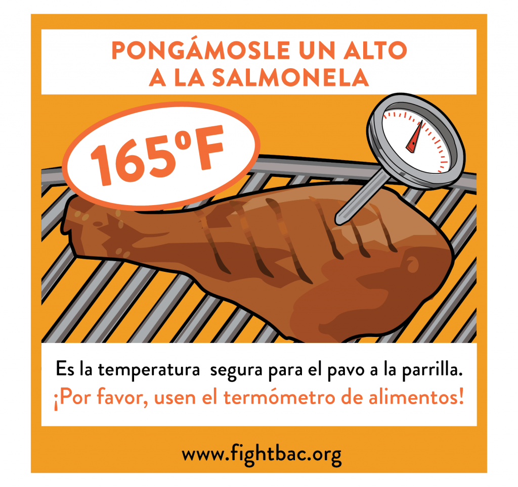Summer Without Salmonella Postcard Spanish Turkey Salmonella Orange