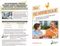 Don't Wing It Spanish Seniors Brochure Thumbnail
