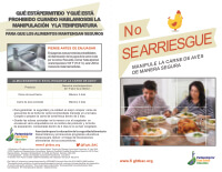 Spanish Millennial Parent Brochure Thumbnail