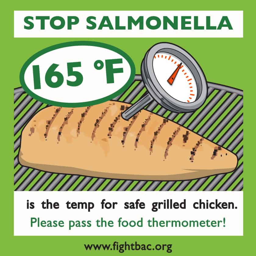 Summer Without Salmonella Postcard Temp Green