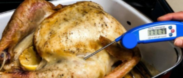 Closeup on a roasted chicken with a meat thermometer inserted